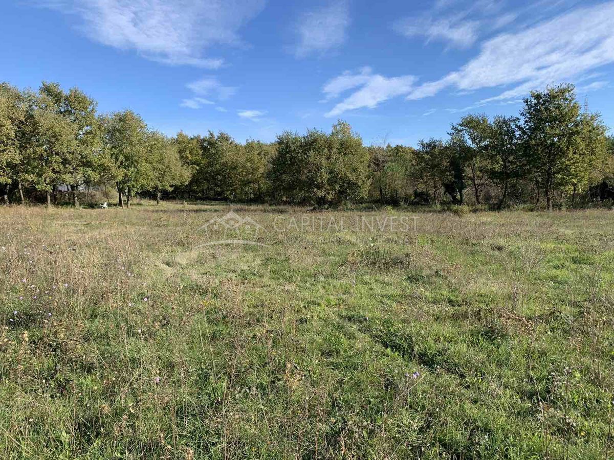 Terreno edificabile a 15 km da Pola, Istria