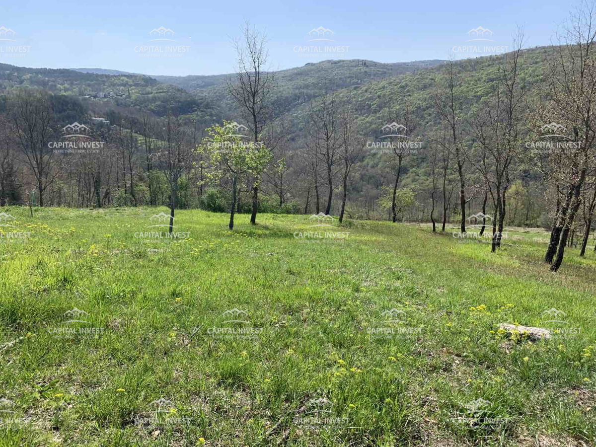 Terreno edificabile, Motovun, Istra