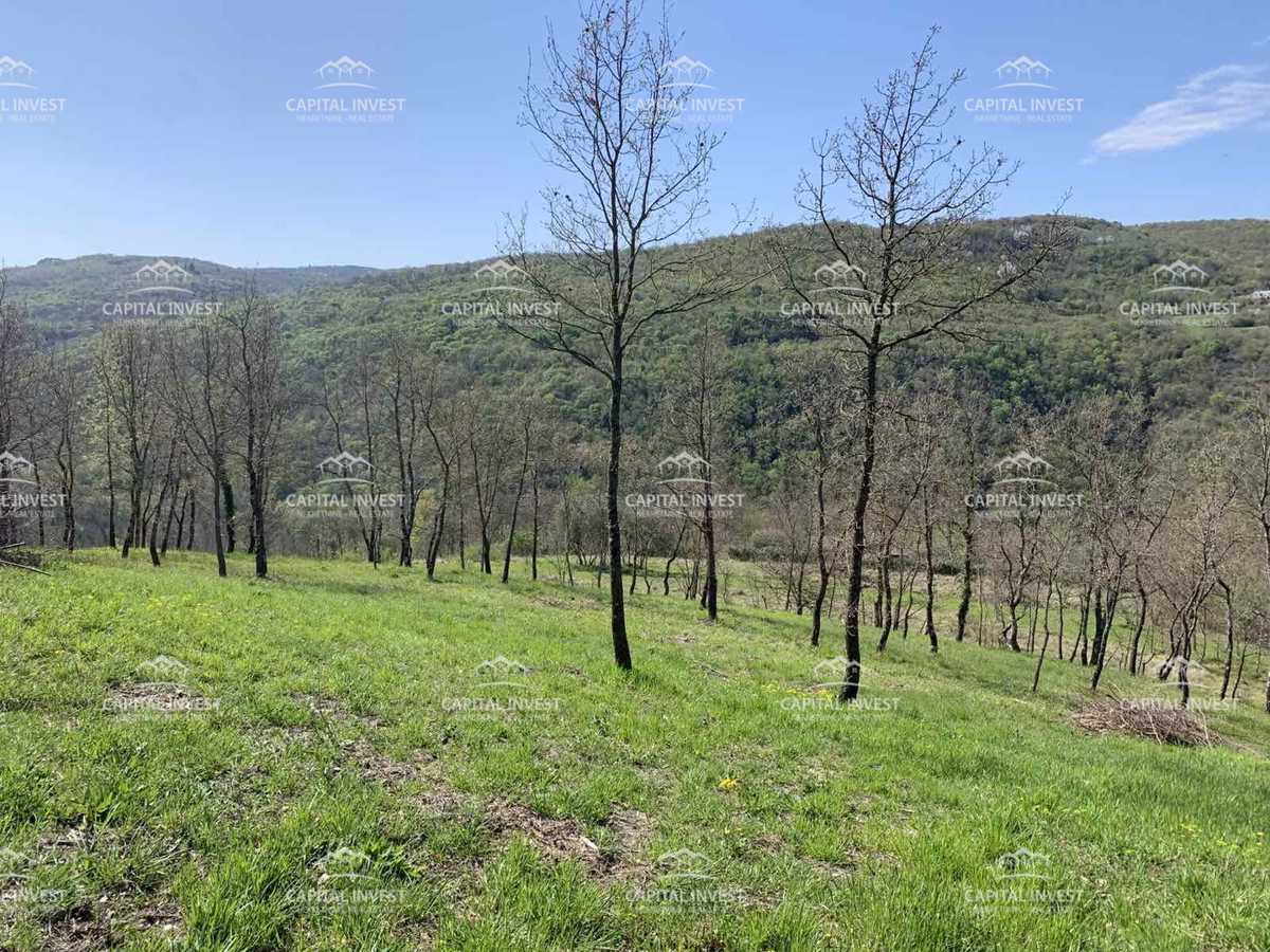 Terreno edificabile, Motovun, Istra