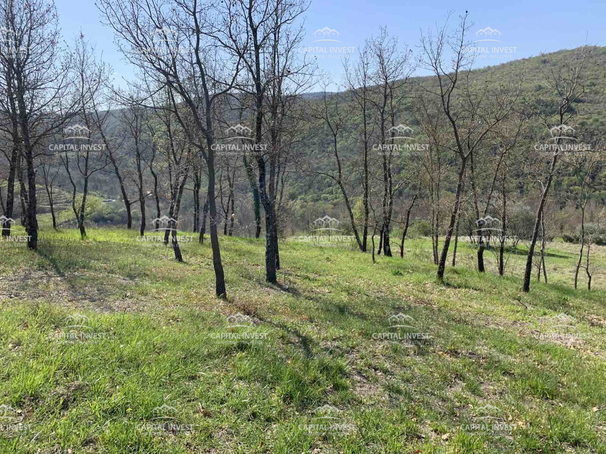 Terreno edificabile, Motovun, Istra