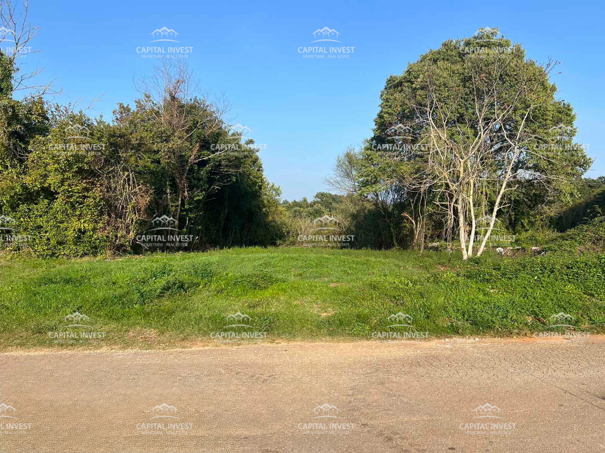 Terreno edificabile con progetto, Barban, Istria