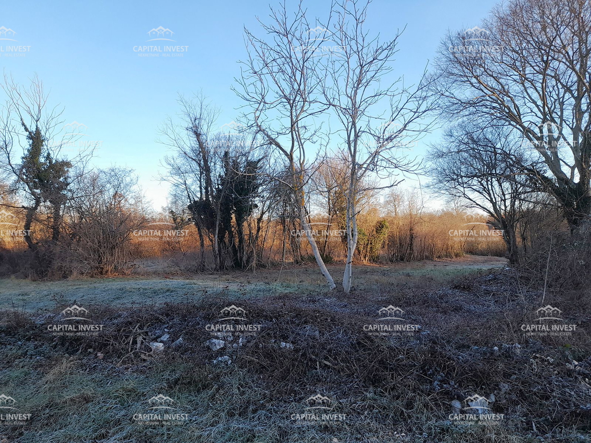 Terreno edificabile con progetto, Barban, Istria