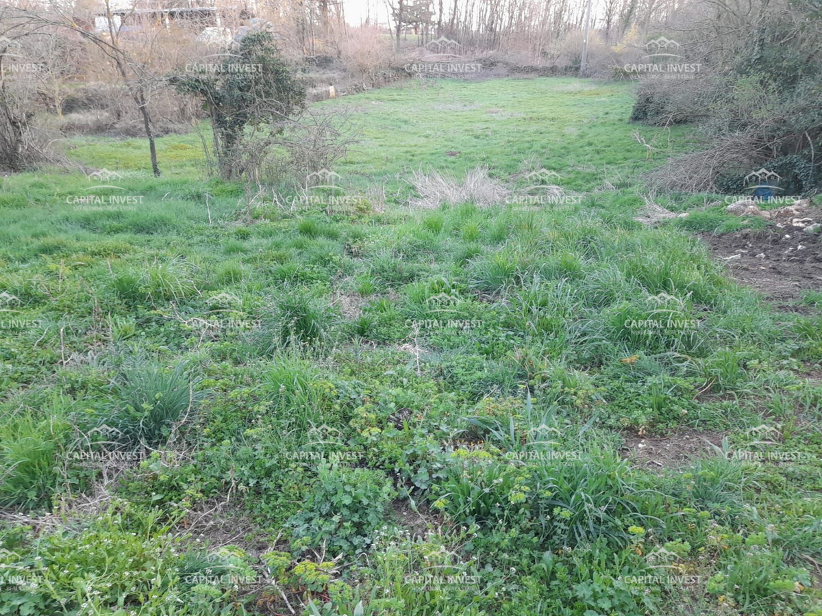 Terreno edificabile, 5800 m2, Žminj, Istra