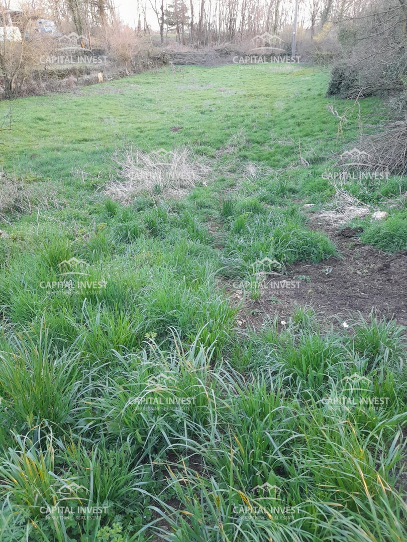 Terreno edificabile, 5800 m2, Žminj, Istra