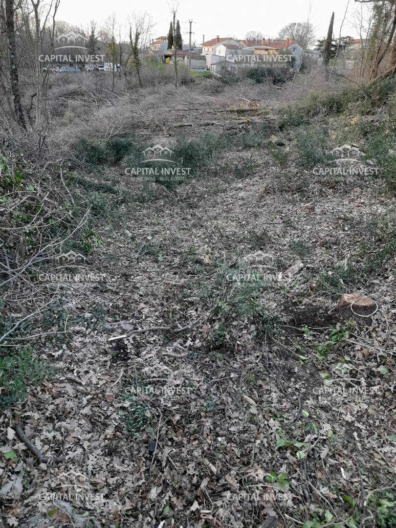 Terreno edificabile, 5800 m2, Žminj, Istra