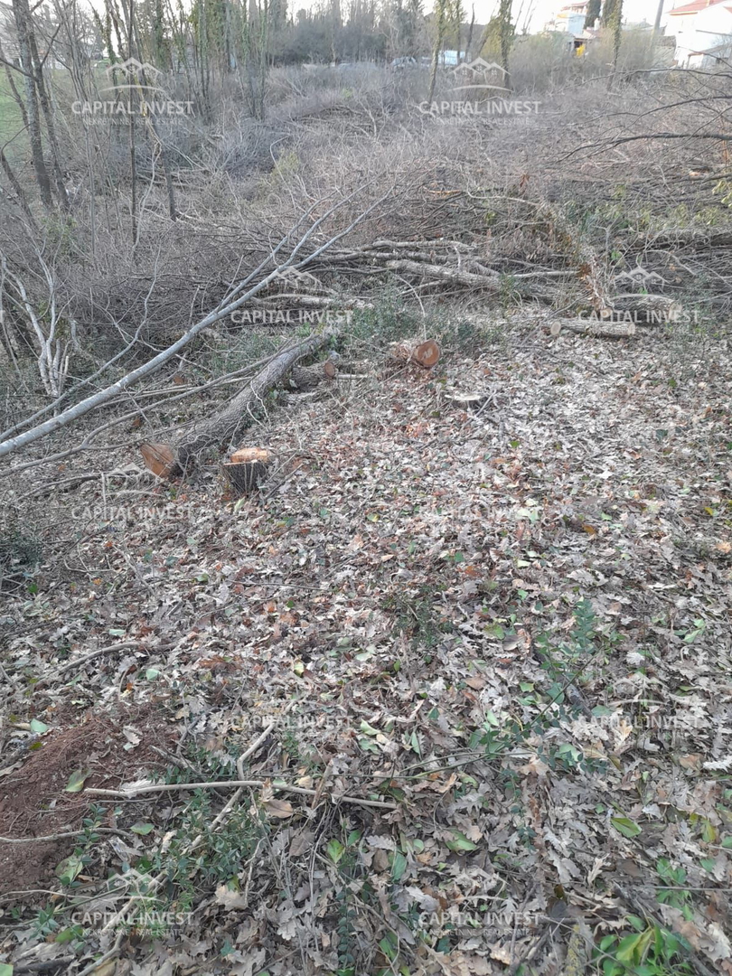 Terreno edificabile, 5800 m2, Žminj, Istra