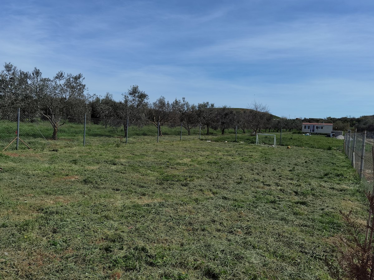 ISTRIA, POLA – Terreno agricolo con casa, a 1500 m dal mare