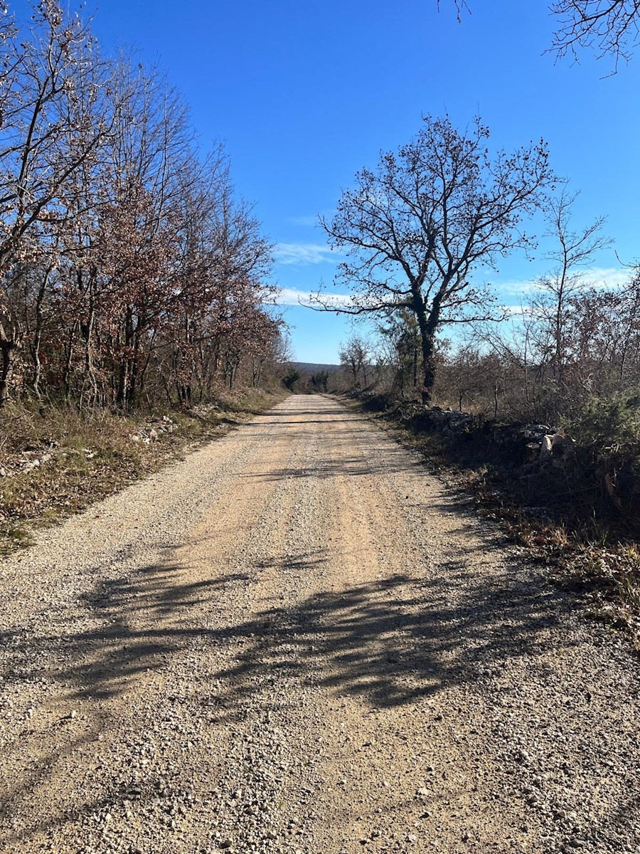 Barat – in vendita grande foresta con vista