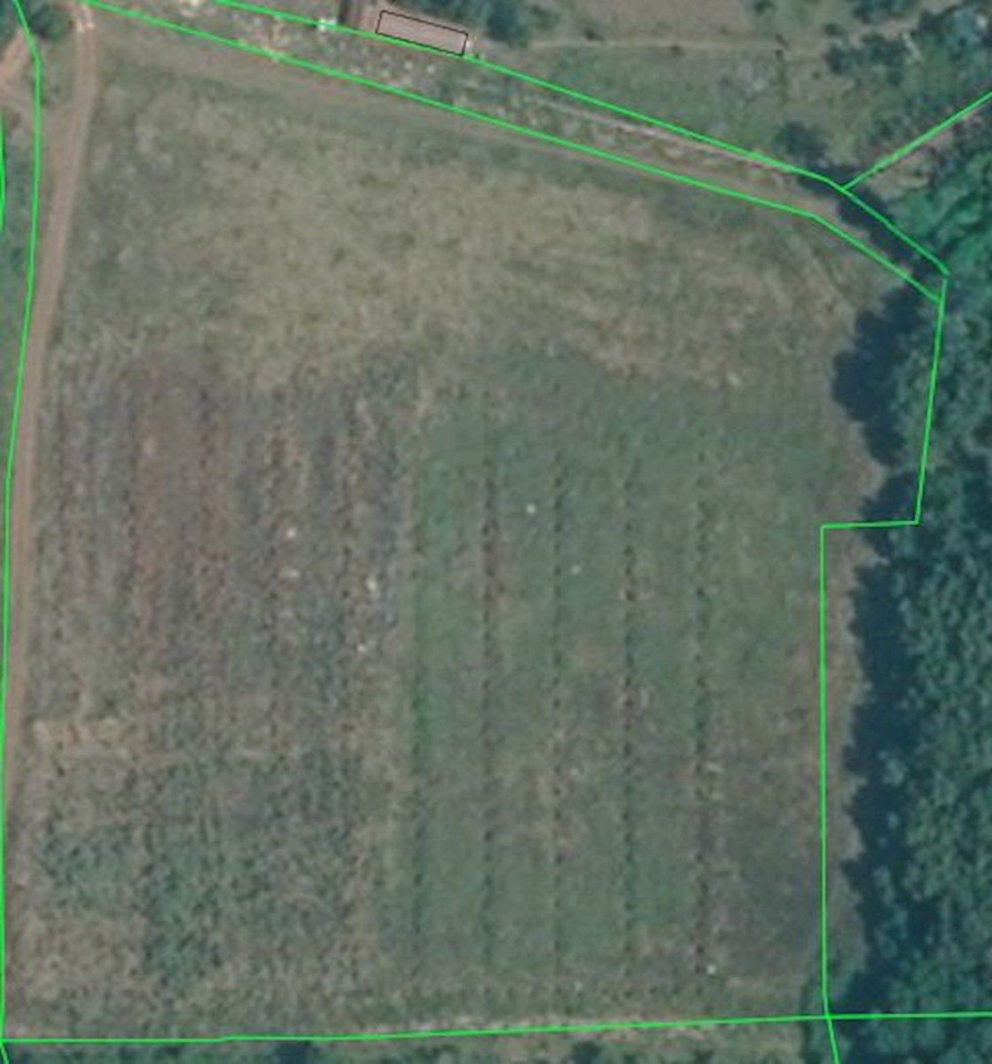 Terreno agricolo a 6 km da Parenzo – forma regolare