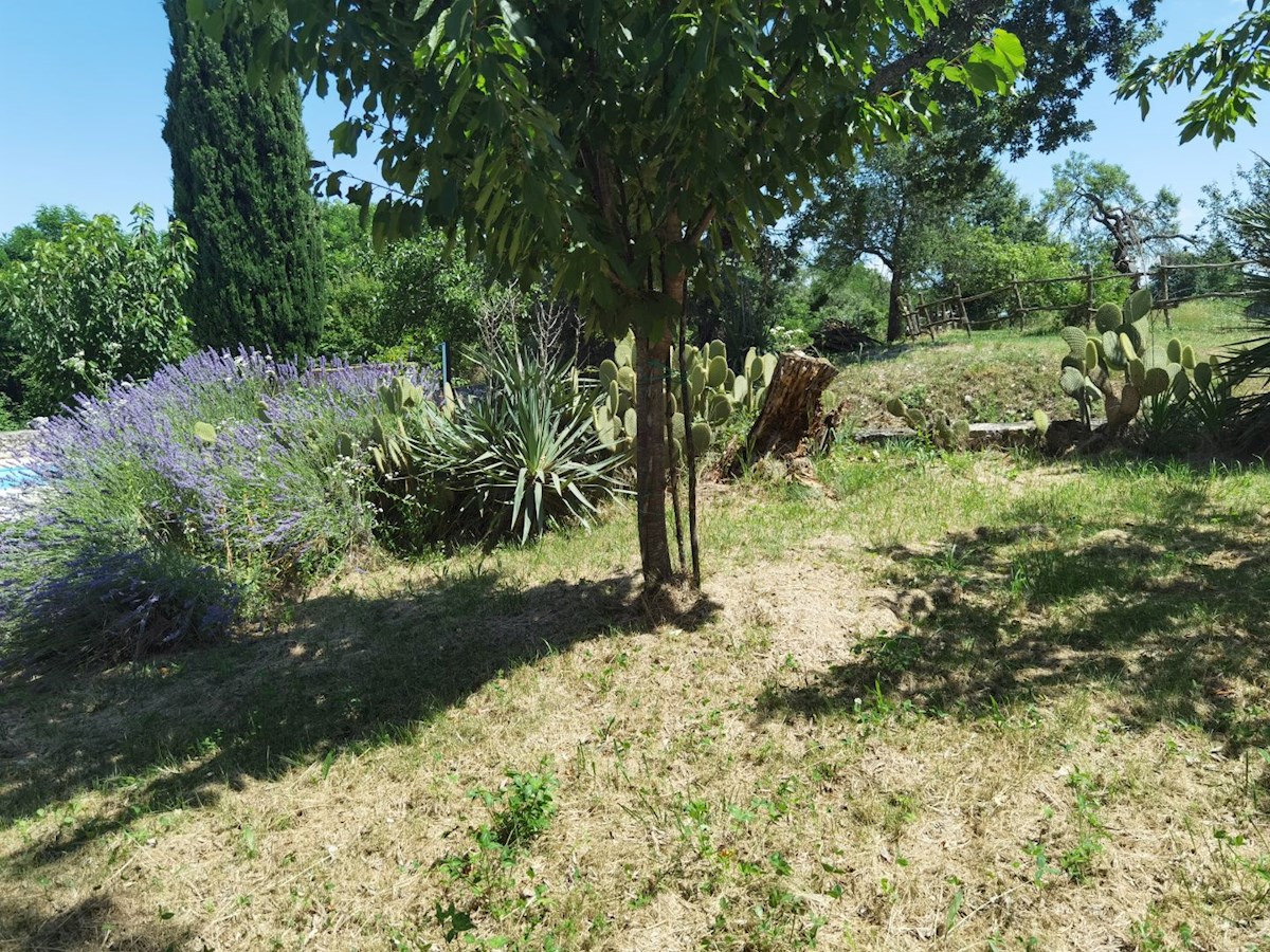 Casa in pietra d'Istria ristrutturata con ampio giardino in un tranquillo villaggio vicino a Parenzo