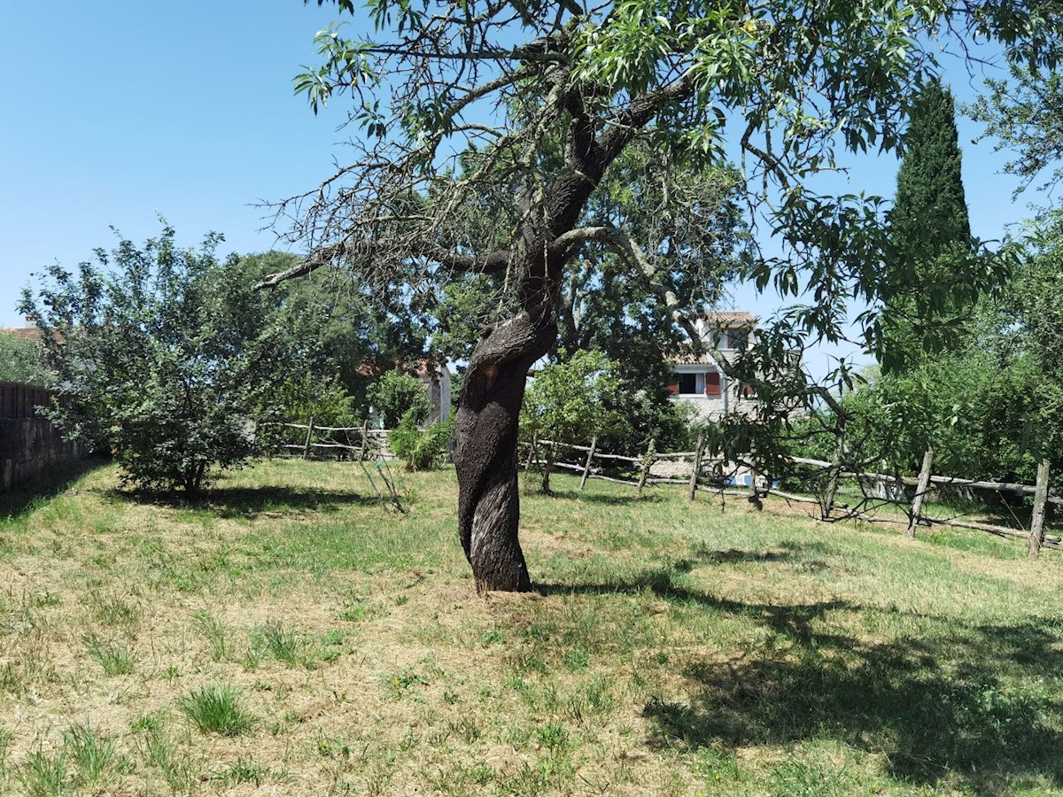Casa in pietra d'Istria ristrutturata con ampio giardino in un tranquillo villaggio vicino a Parenzo