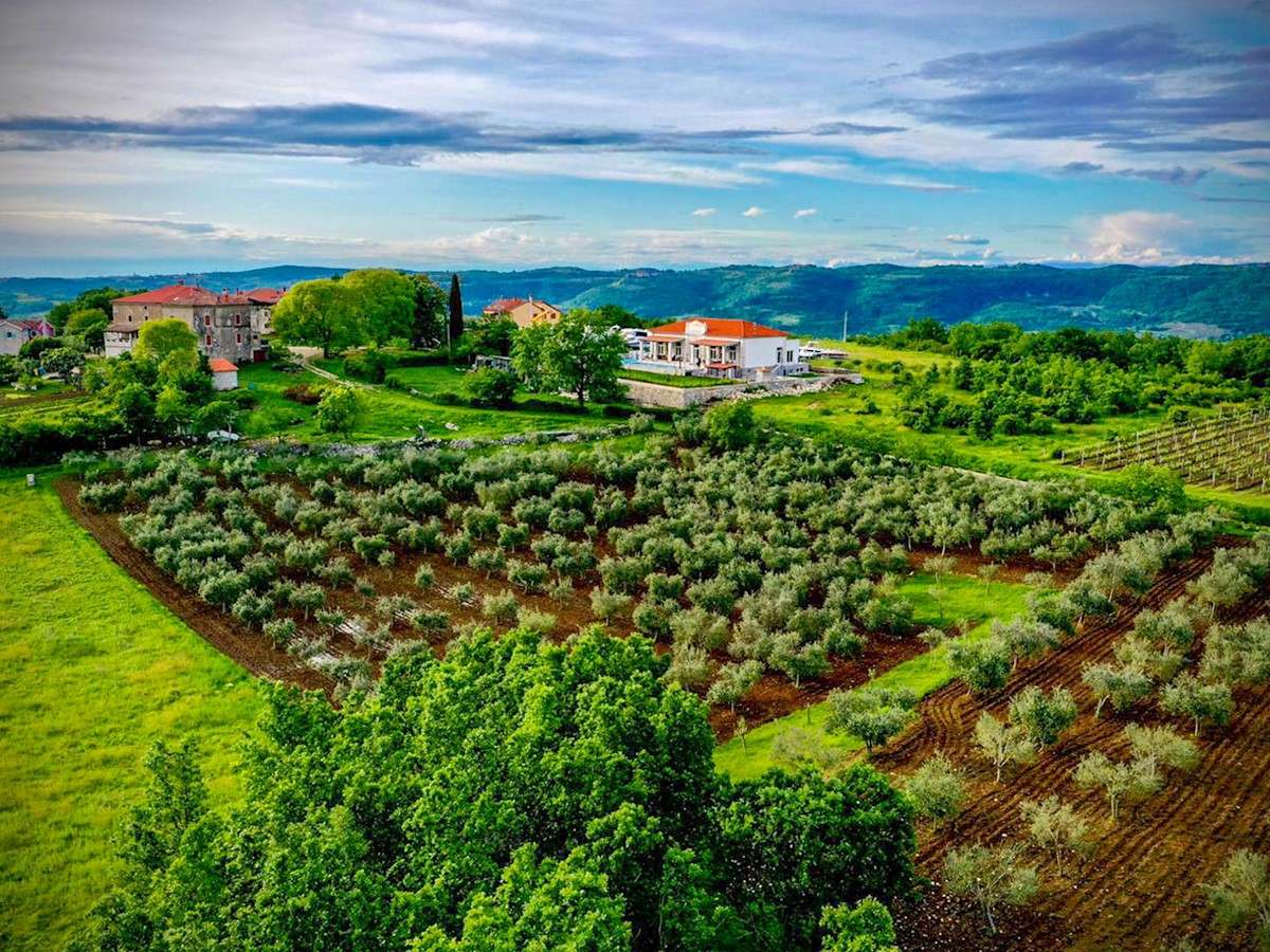 Nuova stella nel mercato immobiliare: compra il tuo angolo di paradiso