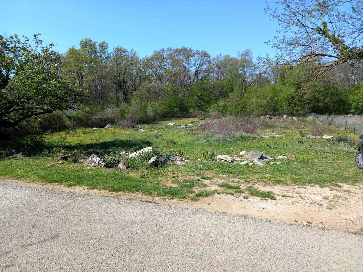 Vrsar - Orsera, dintorni, terreno edificabile a 4 km dal mare