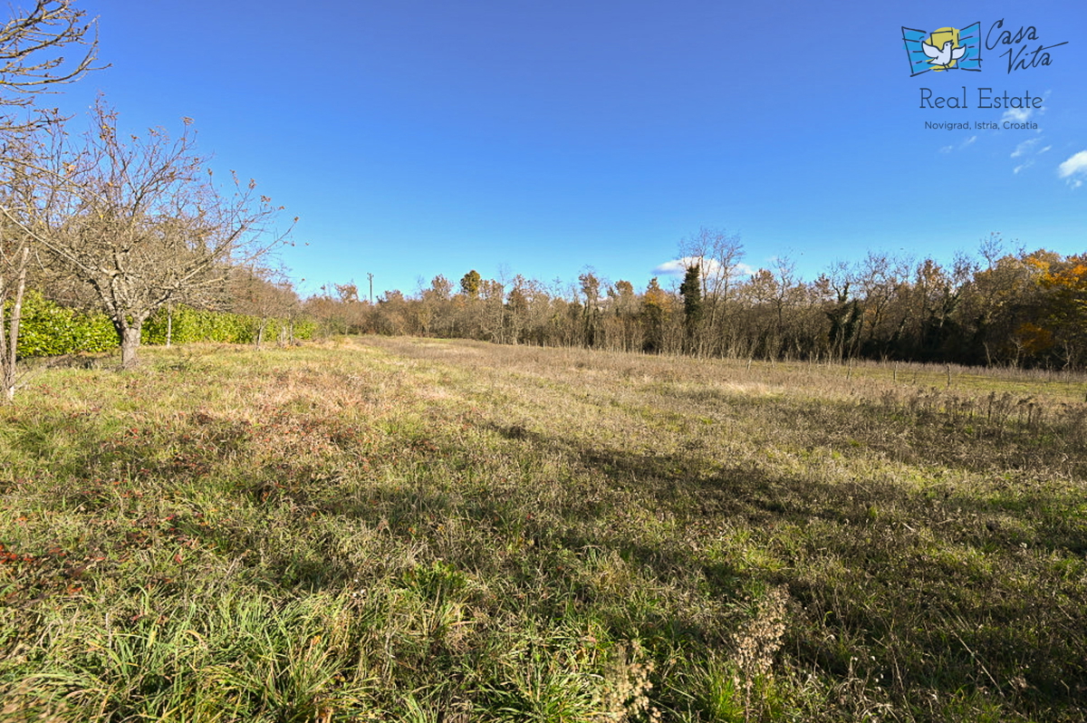Terreno per la costruzione di una casa familiare vicino a Visignano