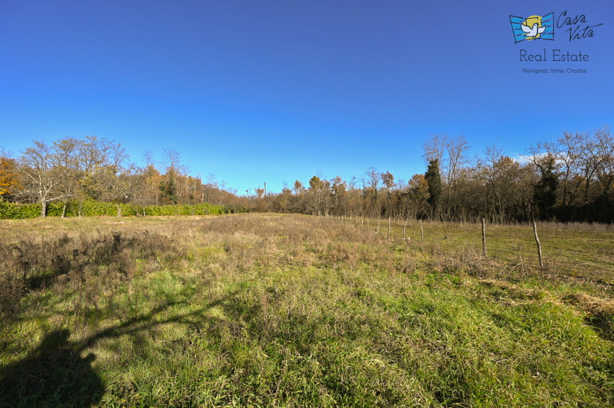 Terreno per la costruzione di una casa familiare vicino a Visignano