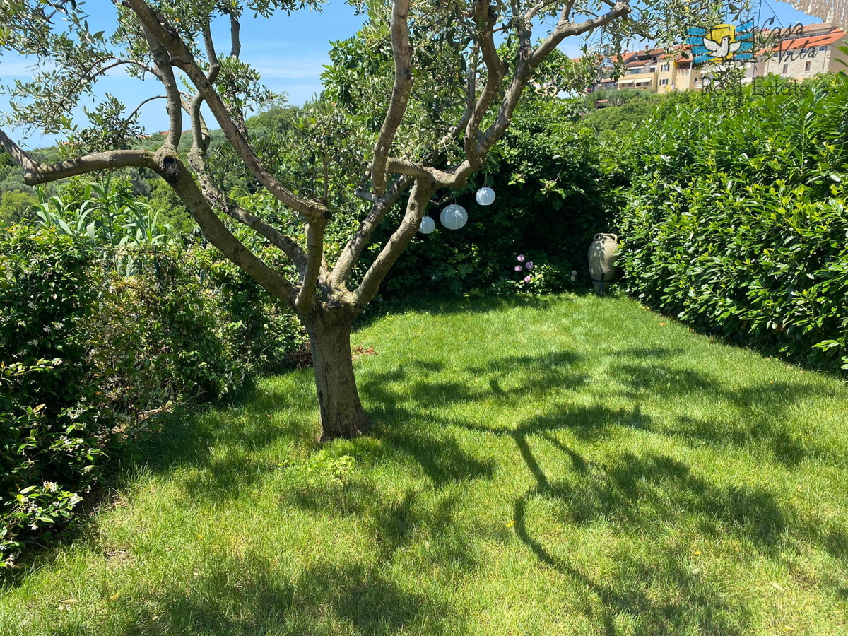 ISTRA, BUJE - Bellissima casa in pietra nel cuore della città di Buie!