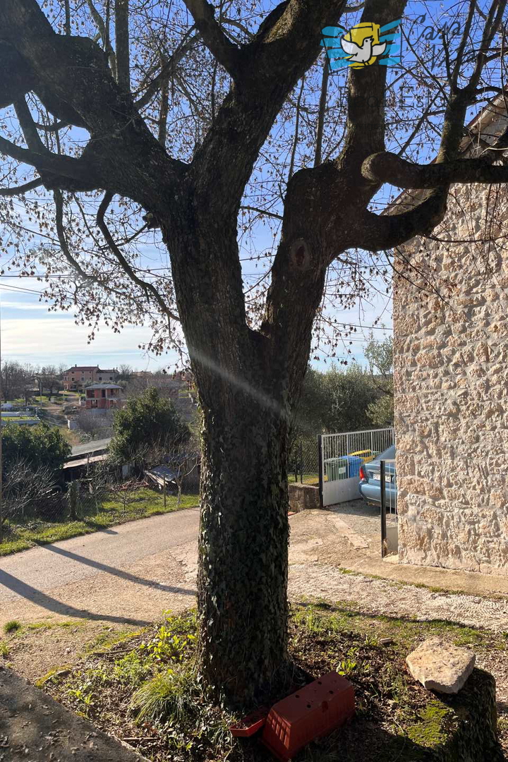 Casa in pietra - 15 km dal centro di Parenzo!