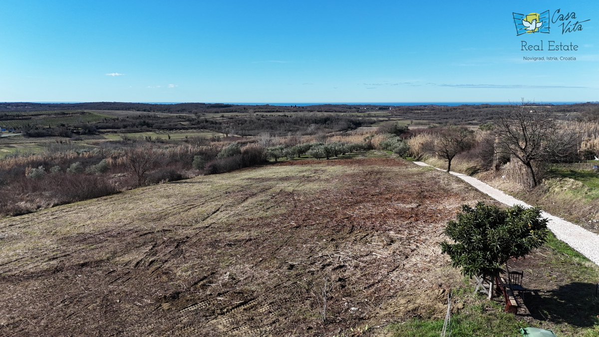 Istria, terreno edificabile per una casa bifamiliare, Buie