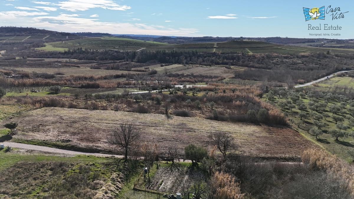 Istria, terreno edificabile per una casa bifamiliare, Buie