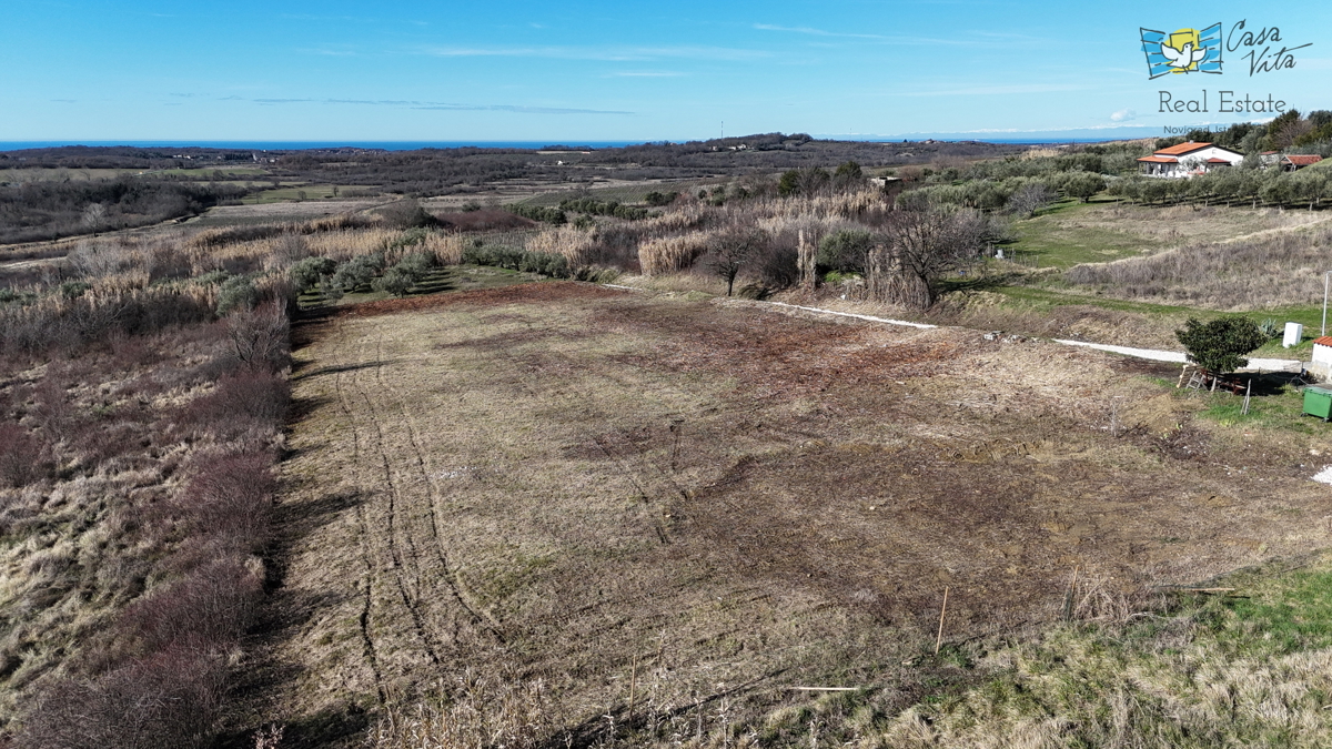 Istria, terreno edificabile per una casa bifamiliare, Buie