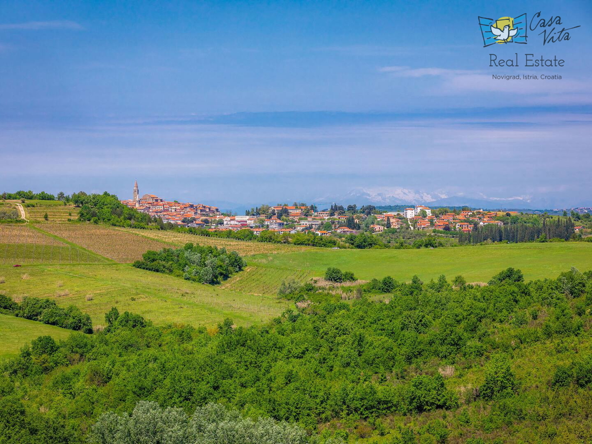 ISTRA, BUJE, Lussuosa casa mediterranea con un ampio giardino