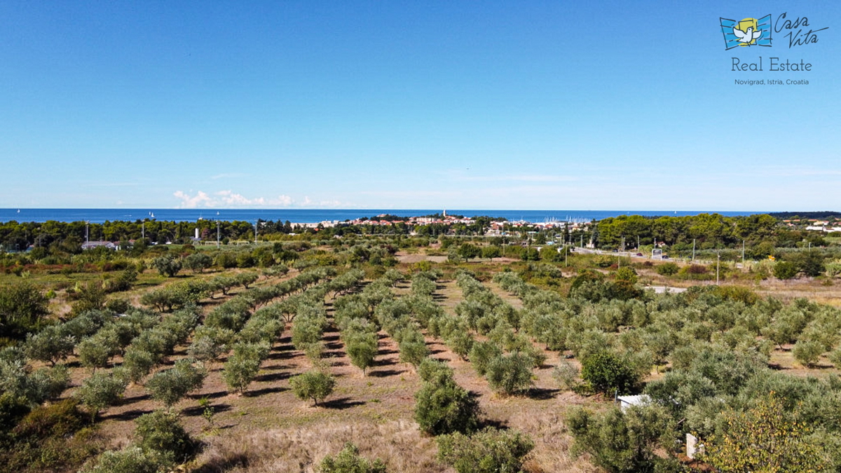 Bella casa con vista panoramica sul mare e sulla città di Cittanova - 500 metri dal mare!