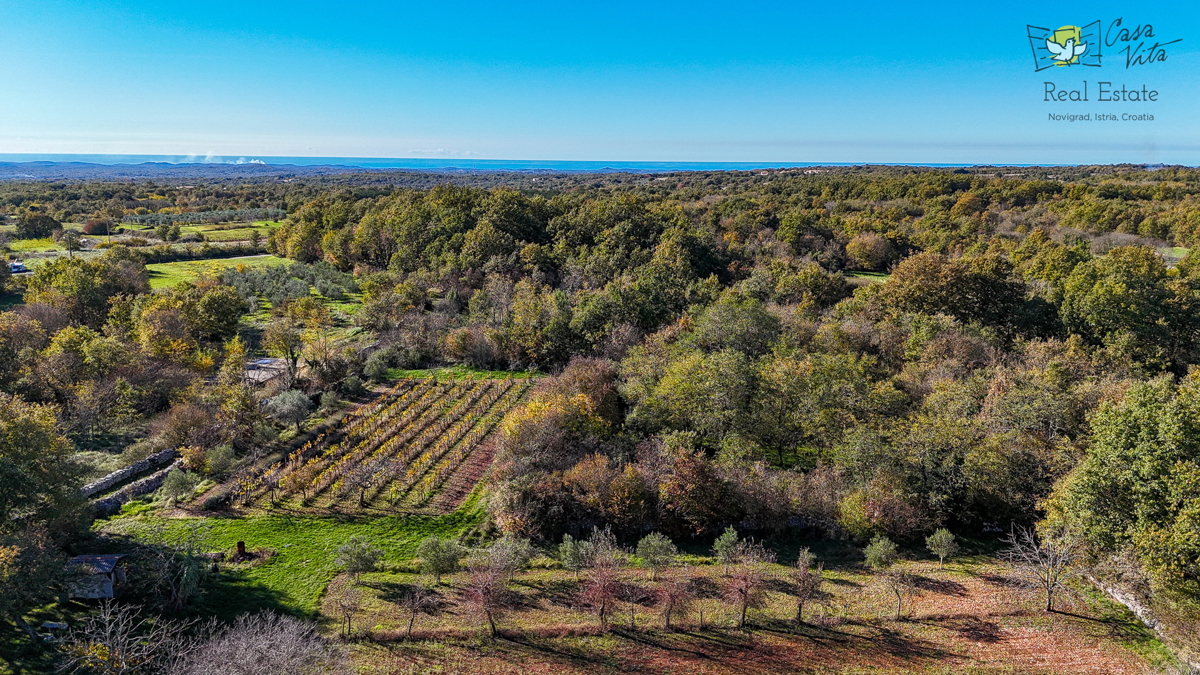 Istria, Parenzo - Casa indipendente a 12 km dal mare e dal centro di Parenzo!