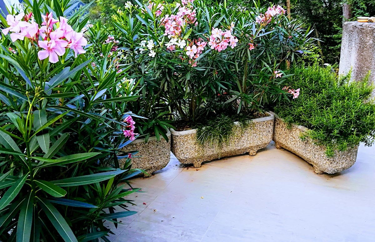 OPATIJA, MOŠĆENIČKA DRAGA - Appartamento e monolocale con ampia terrazza e 2 posti auto