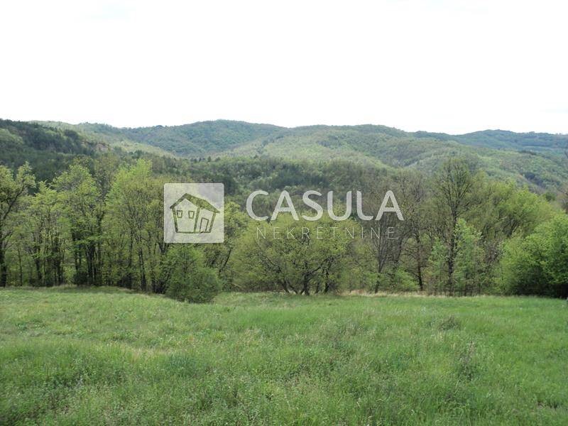 Terreno Hum, Buzet, 20.000m2