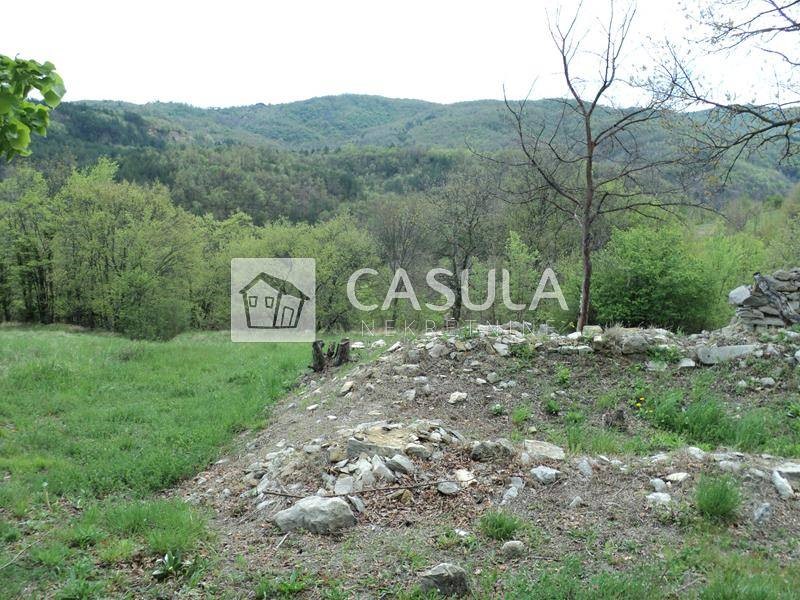 Terreno Hum, Buzet, 20.000m2