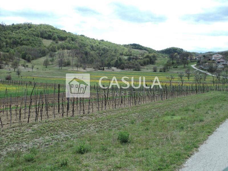 Terreno Hum, Buzet, 20.000m2