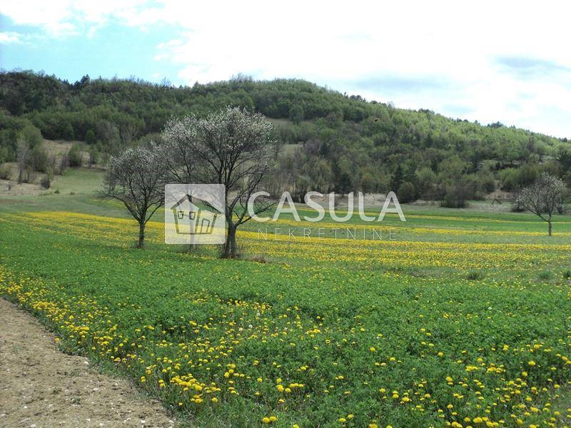 Terreno Hum, Buzet, 20.000m2