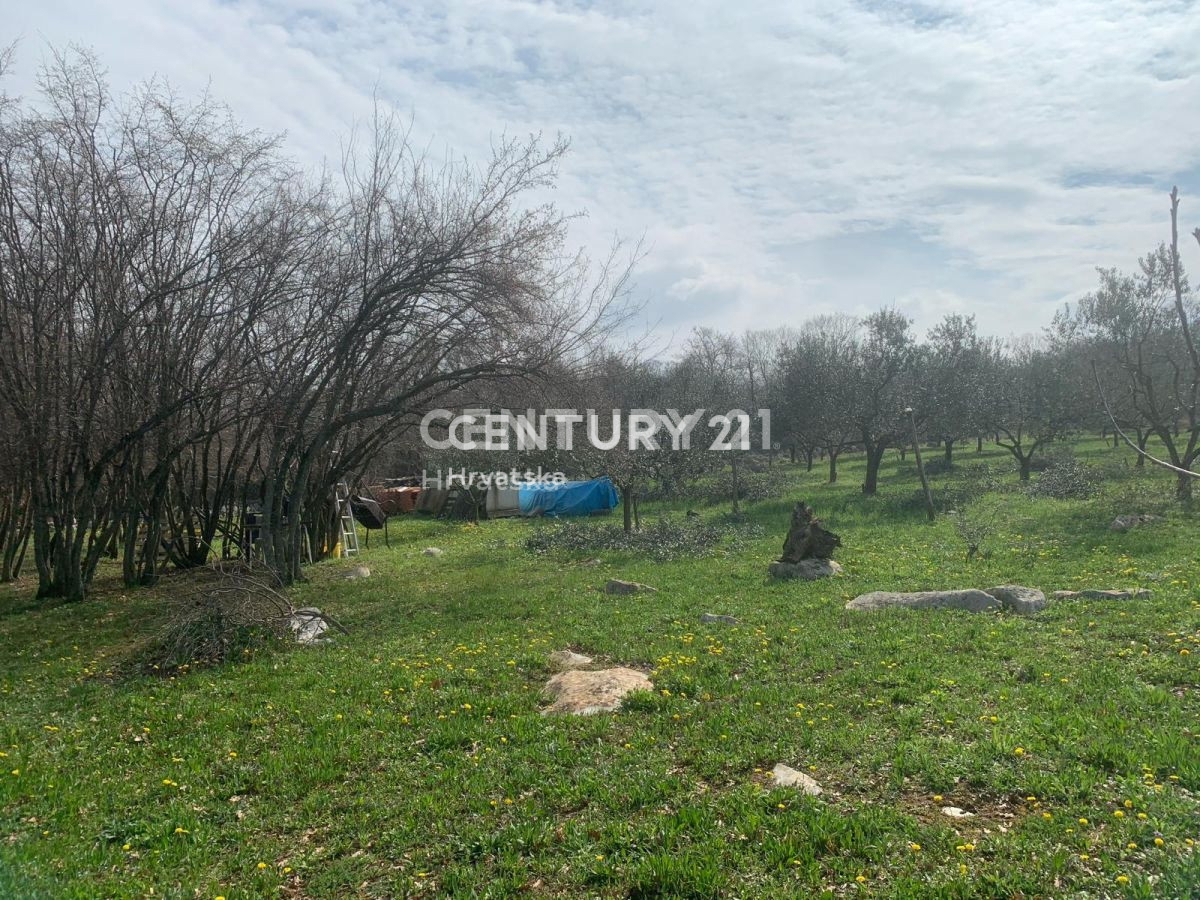 Vendita, Terreno, Superficie agricola, Istarska županija, Poreč, Radmani