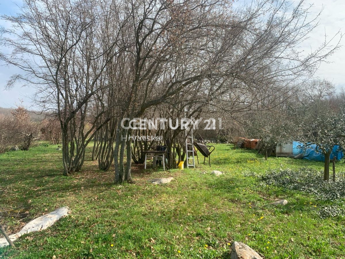 Vendita, Terreno, Superficie agricola, Istarska županija, Poreč, Radmani