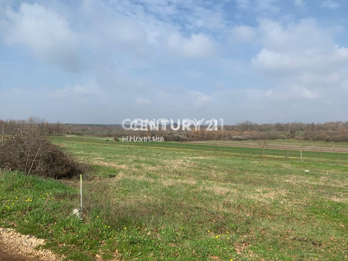 Vendita, Terreno, Superficie agricola, Istarska županija, Poreč, Radmani