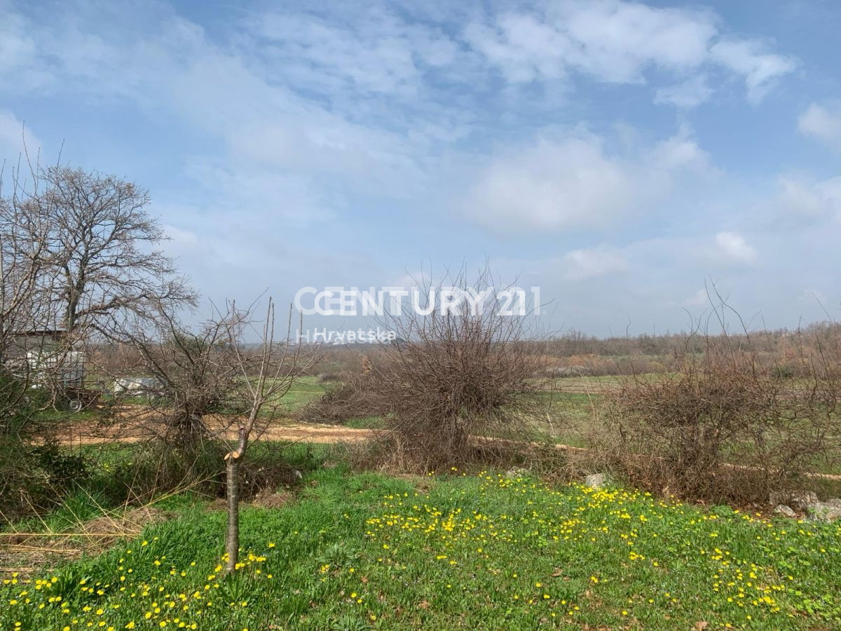 Vendita, Terreno, Superficie agricola, Istarska županija, Poreč, Radmani