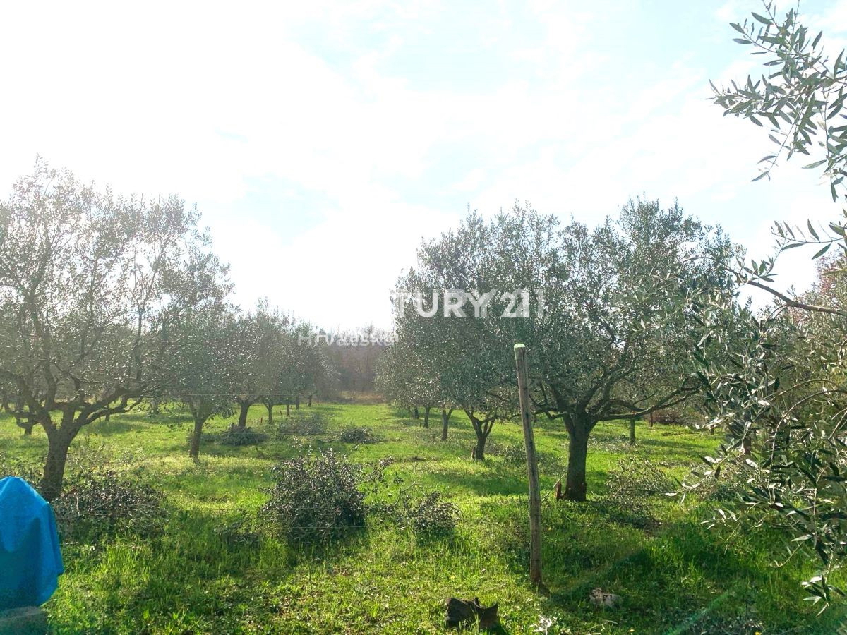 Vendita, Terreno, Superficie agricola, Istarska županija, Poreč, Radmani