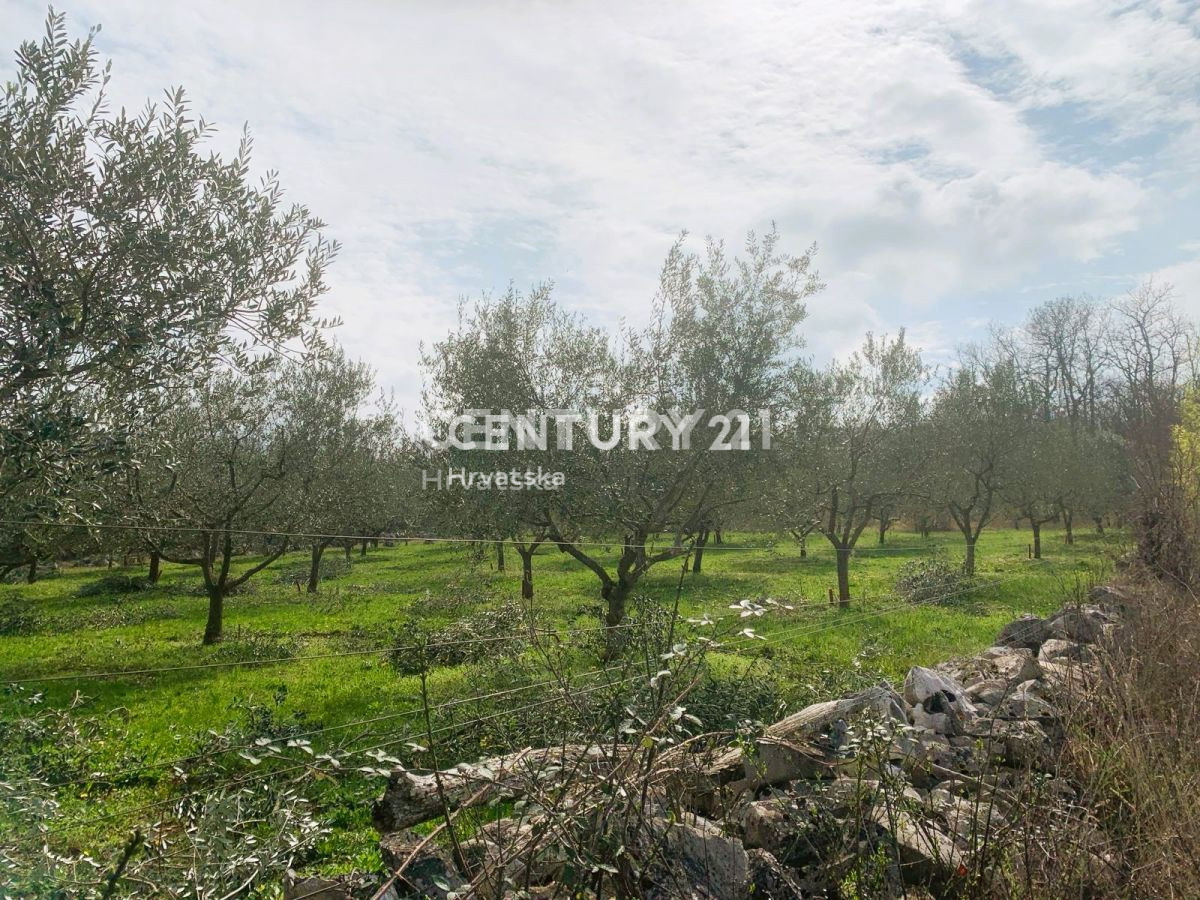 Vendita, Terreno, Superficie agricola, Istarska županija, Poreč, Radmani