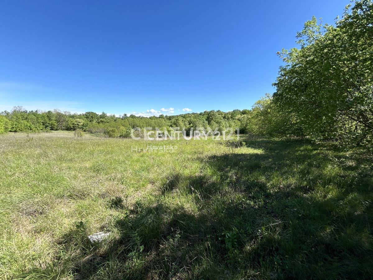 Vendita, Terreno, Edificabile, Contea di Istria, Motovun
