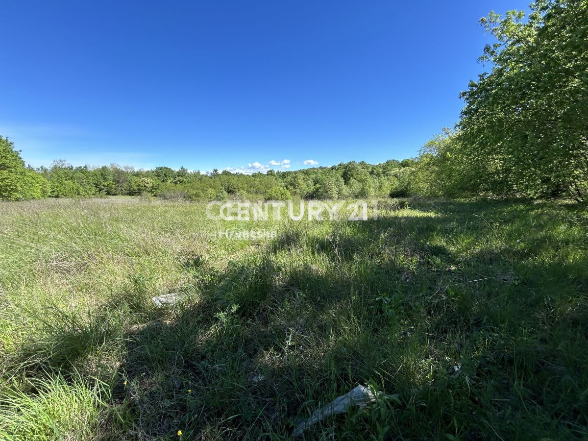 Vendita, Terreno, Edificabile, Contea di Istria, Motovun