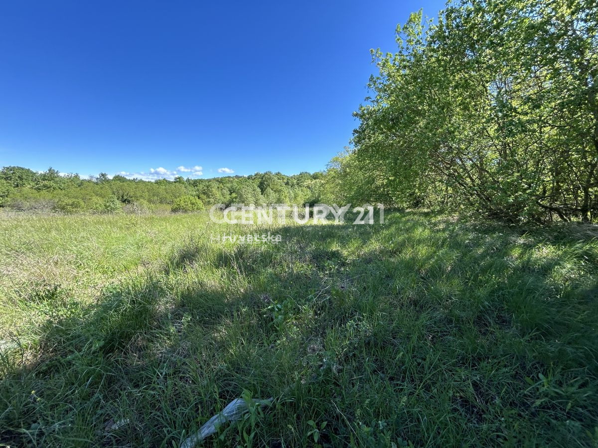 Vendita, Terreno, Edificabile, Contea di Istria, Motovun