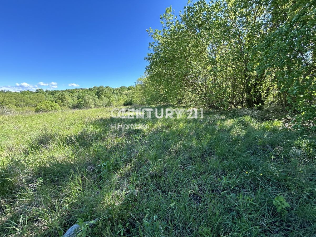 Vendita, Terreno, Edificabile, Contea di Istria, Motovun