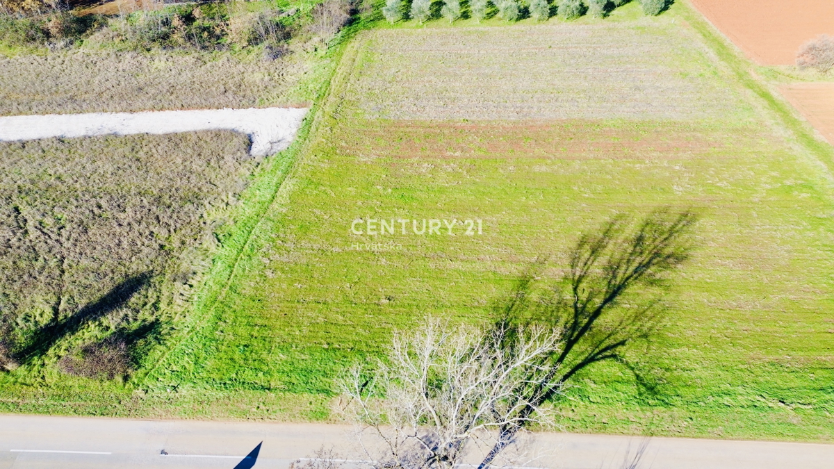 POREČ, PERIFERIA 8 KM, TERRENO EDIFICABILE CON MOLTO POTENZIALE