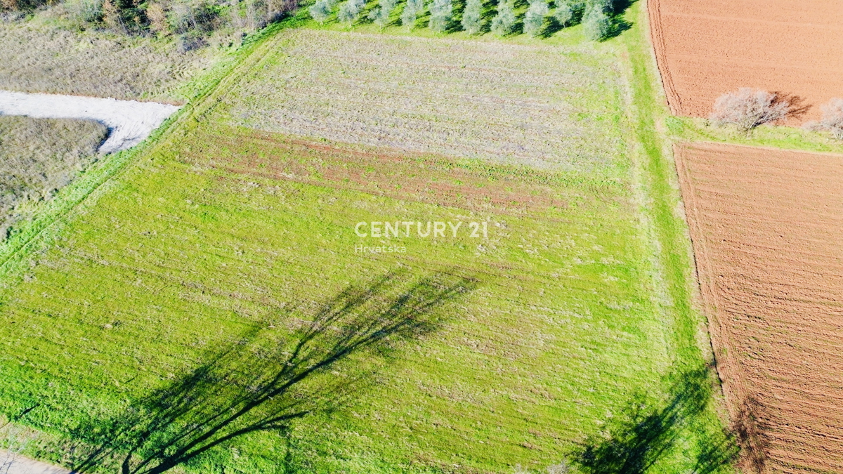 POREČ, PERIFERIA 8 KM, TERRENO EDIFICABILE CON MOLTO POTENZIALE