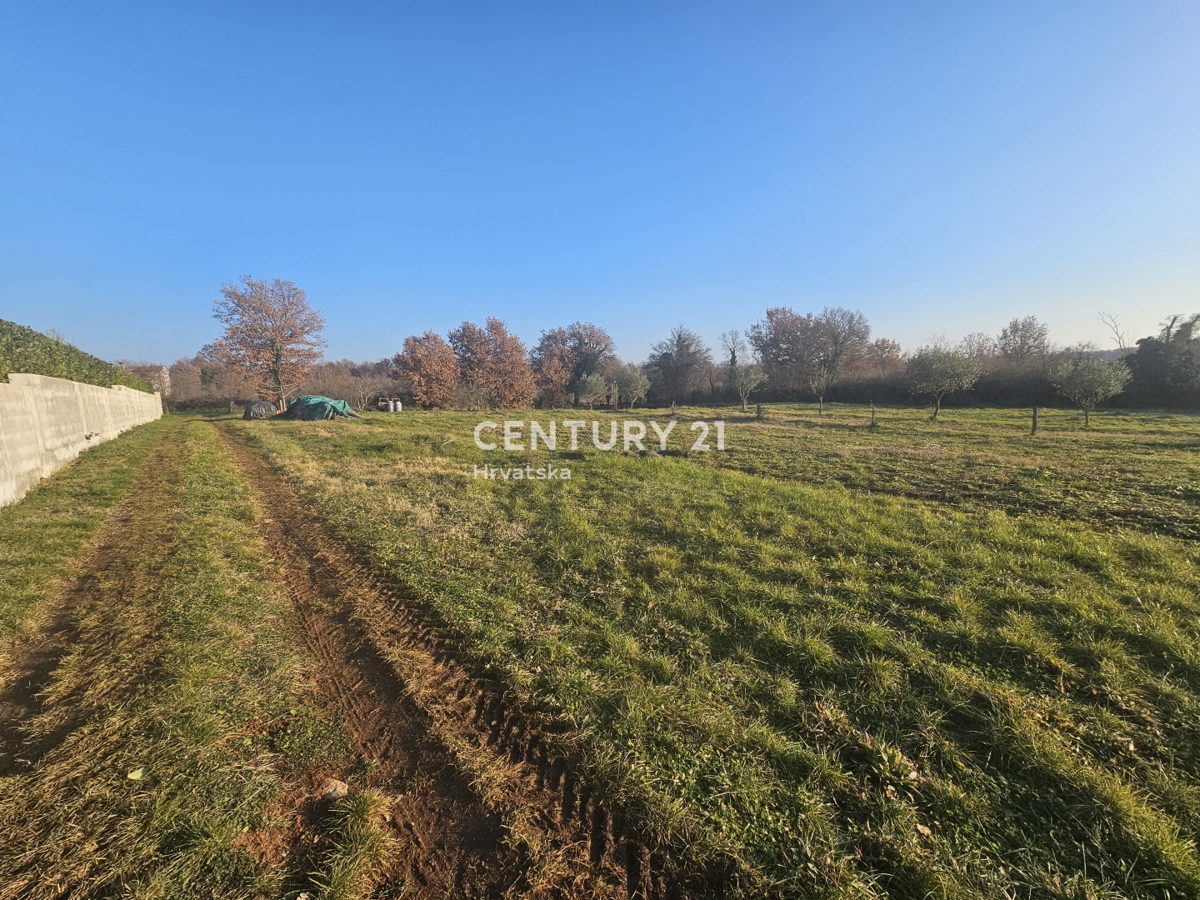 POREČ, ŽBANDAJ, VENDITA TERRENO EDIFICABILE, POSIZIONE TOP
