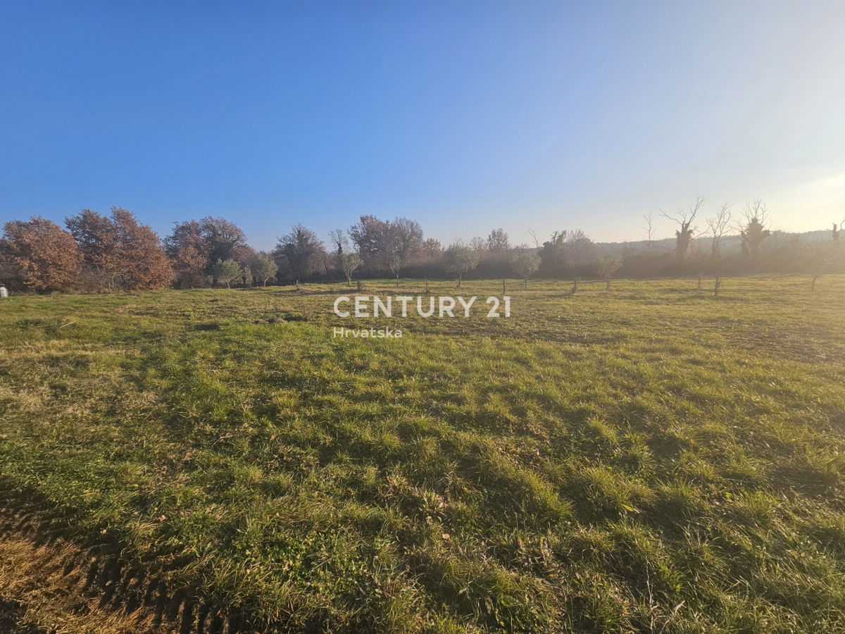 POREČ, ŽBANDAJ, VENDITA TERRENO EDIFICABILE, POSIZIONE TOP