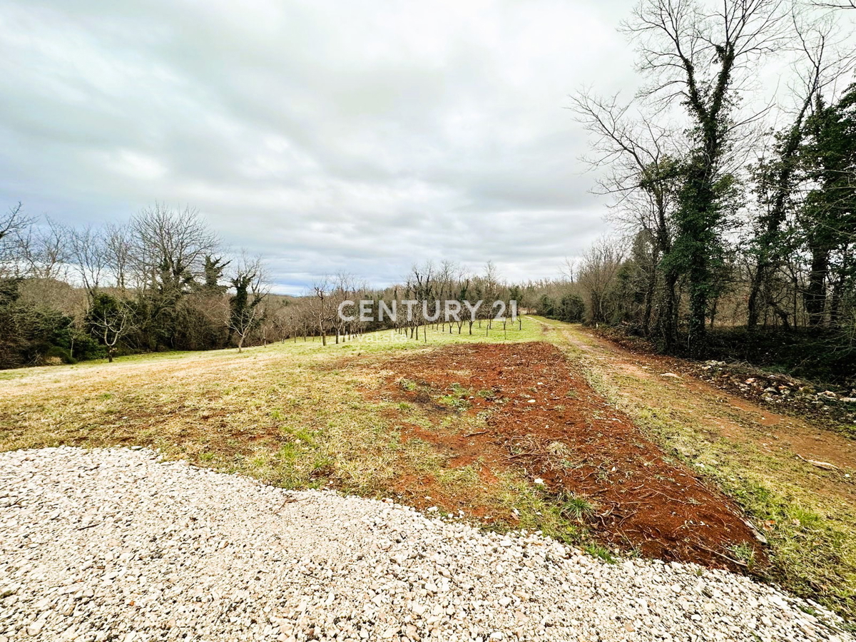 VIŠNJAN, VENDITA DI TERRENO EDILIZIO E AGRICOLO