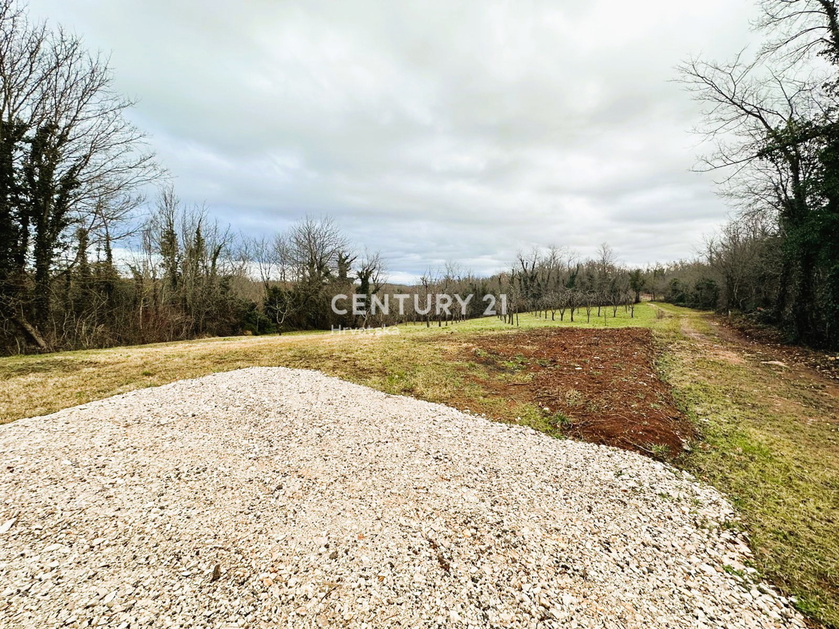 VIŠNJAN, VENDITA DI TERRENO EDILIZIO E AGRICOLO