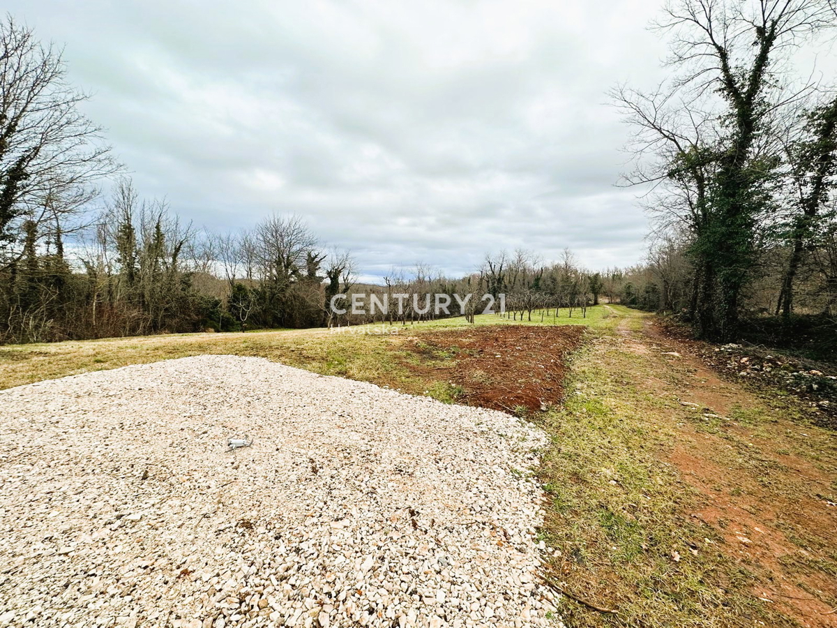 VIŠNJAN, VENDITA DI TERRENO EDILIZIO E AGRICOLO