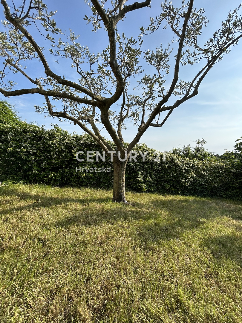BUJE, CASA COMPLETAMENTE RISTRUTTURATA CON VISTA MARE